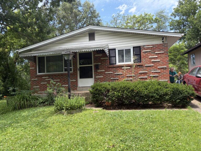10187  Count Dr Saint Louis MO 63,136