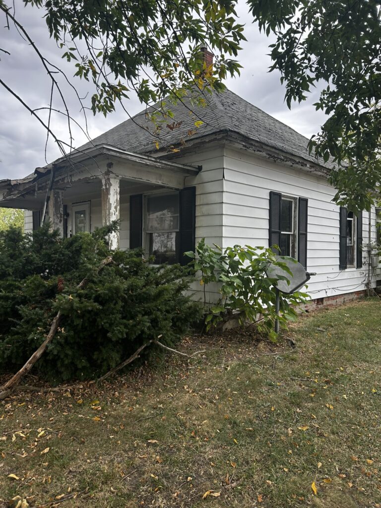 529 N 2nd St, Witt, IL 62094