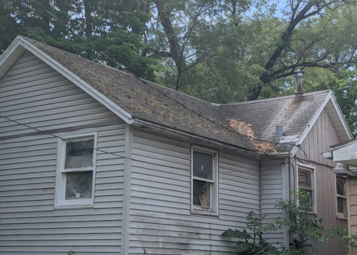 PXL_20250515_181229292